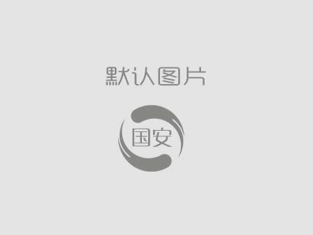 國(guó)安建設(shè)丨公司今年怎么干？